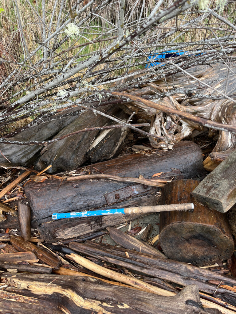 a pile of wood and sticks (MyCoast AI)