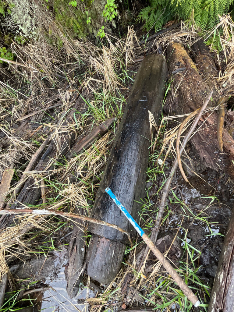 a pipe in the ground (MyCoast AI)