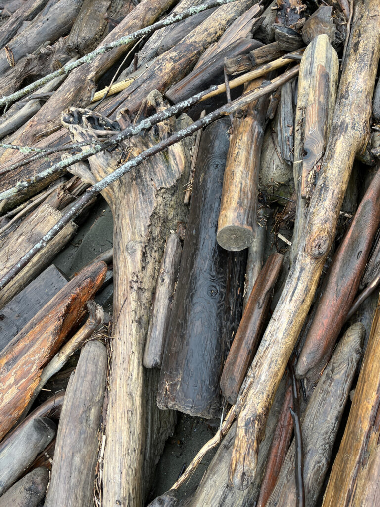 a group of wood logs (MyCoast AI)