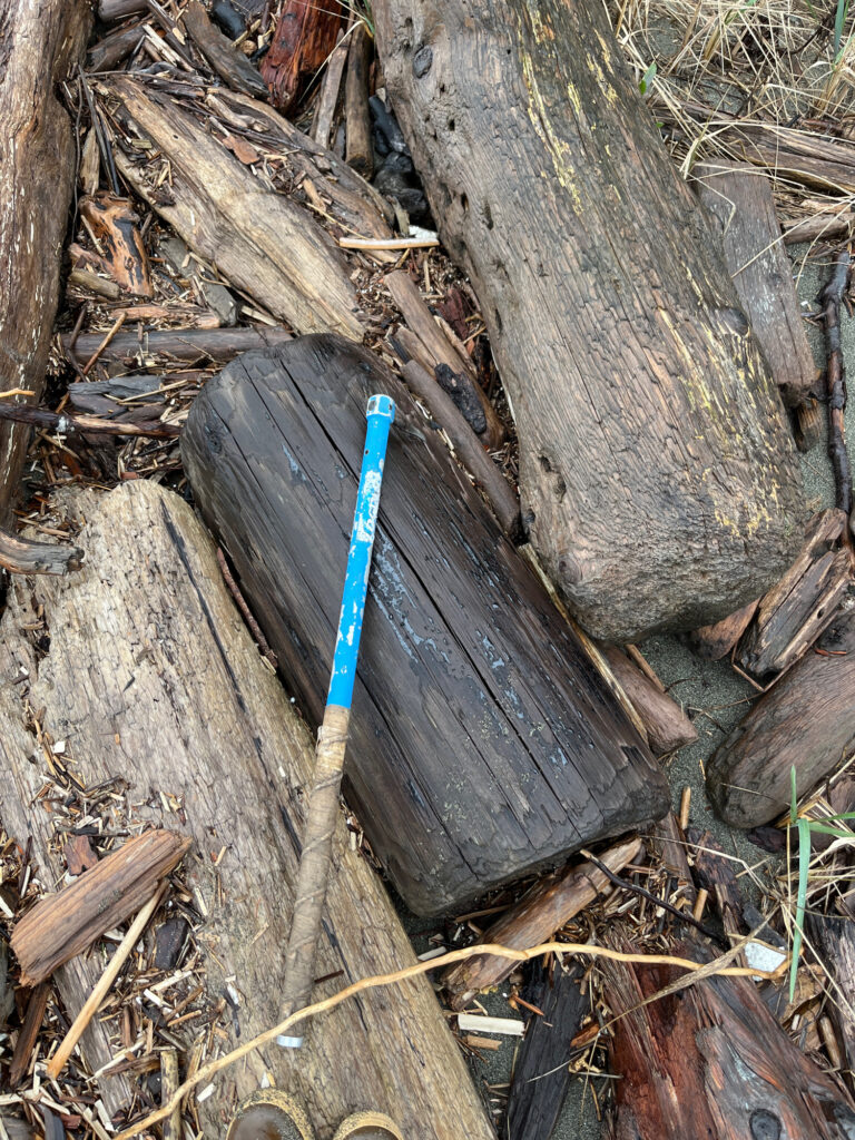 a blue toothbrush in a box (MyCoast AI)
