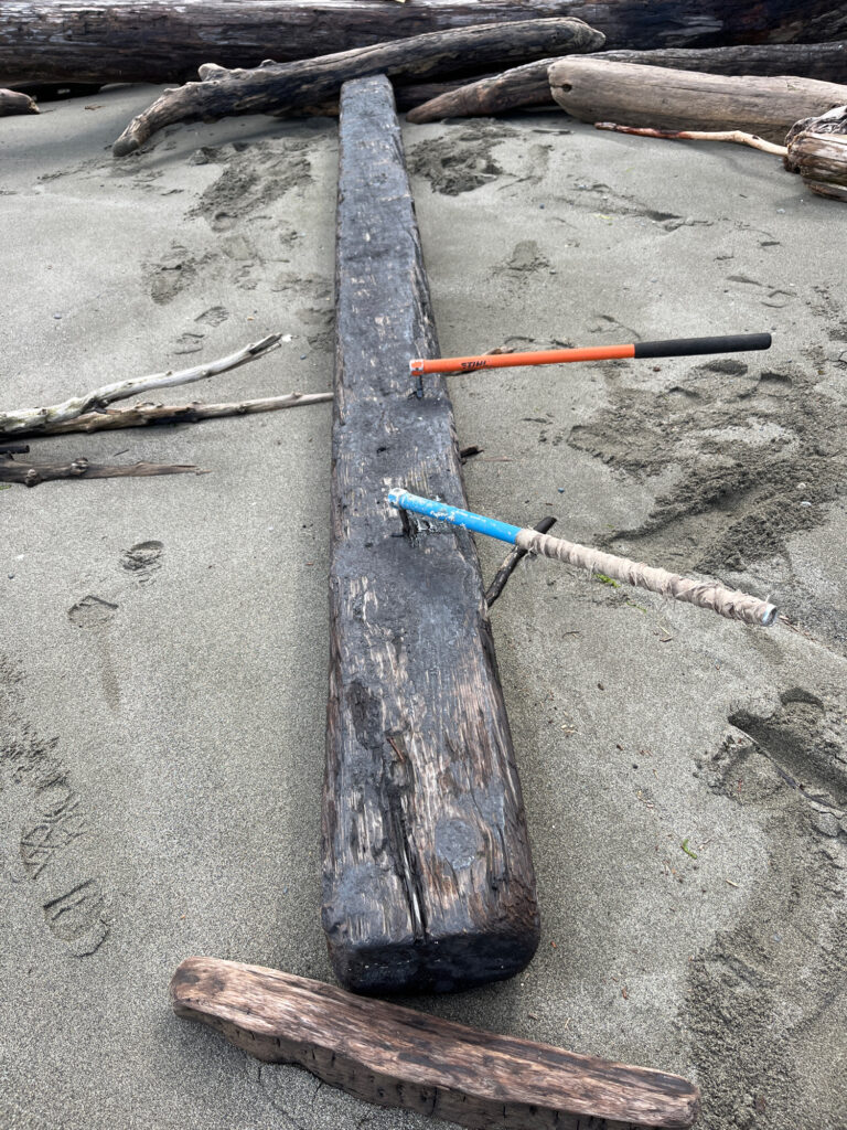 a piece of wood with a blue object on it (MyCoast AI)