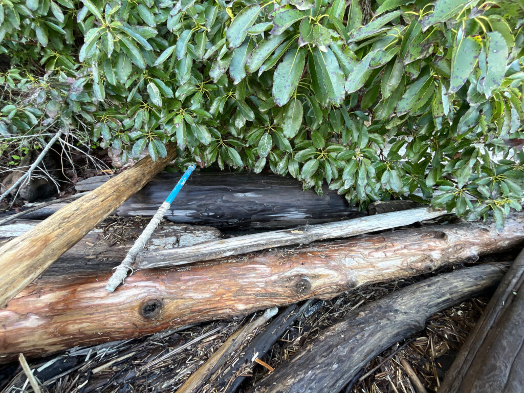 a knife on a wood fence (MyCoast AI)