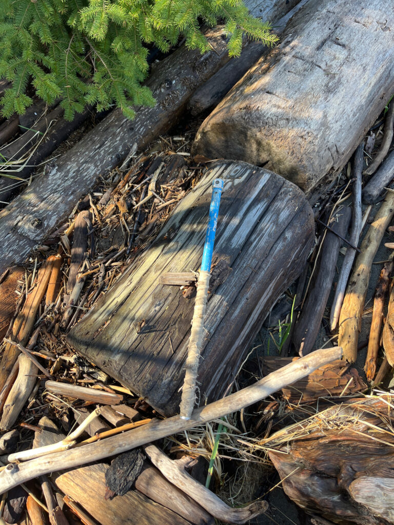 a blue pipe in a pile of wood (MyCoast AI)