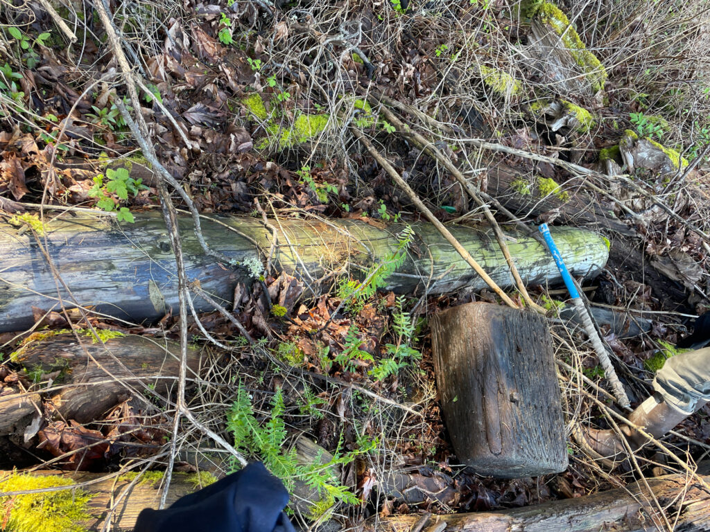 a pipe in the ground (MyCoast AI)