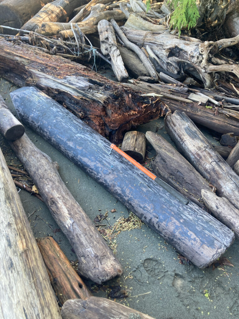 a blue metal pipe (MyCoast AI)