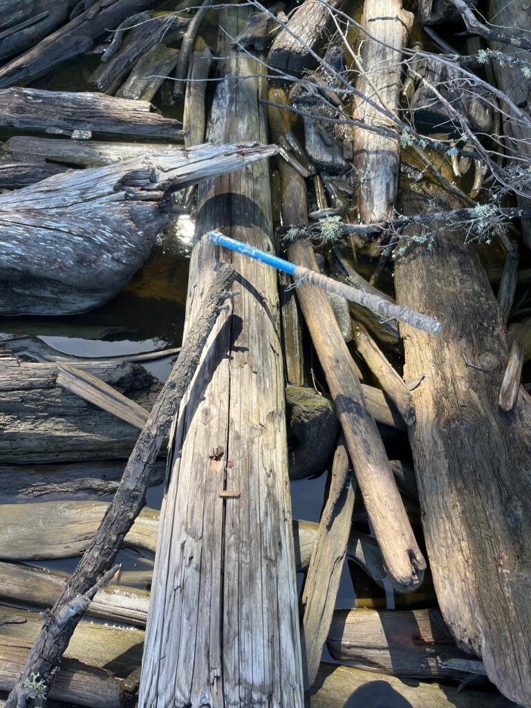 a group of logs (MyCoast AI)