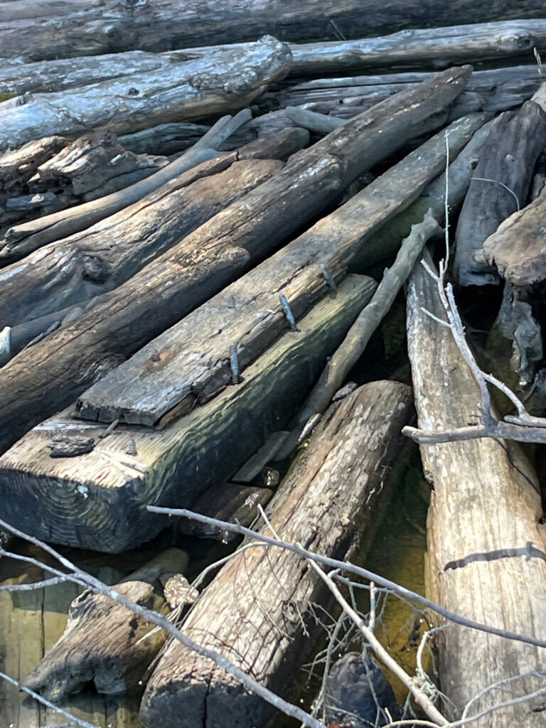 a group of logs (MyCoast AI)