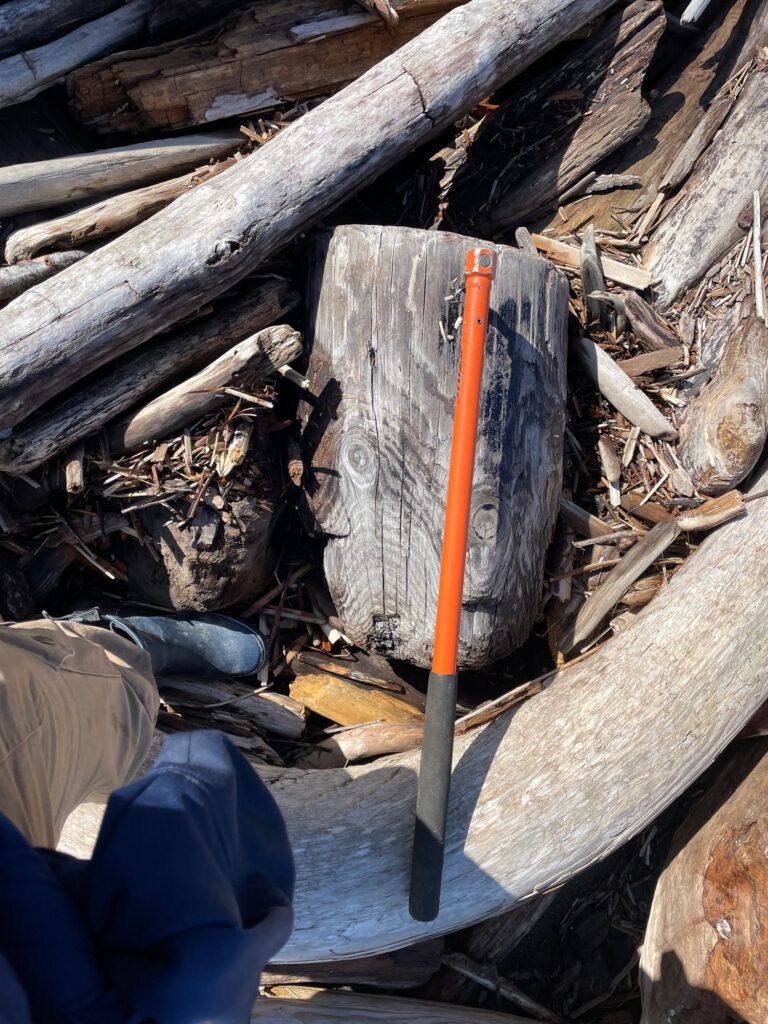a baseball bat in a hole in a log (MyCoast AI)