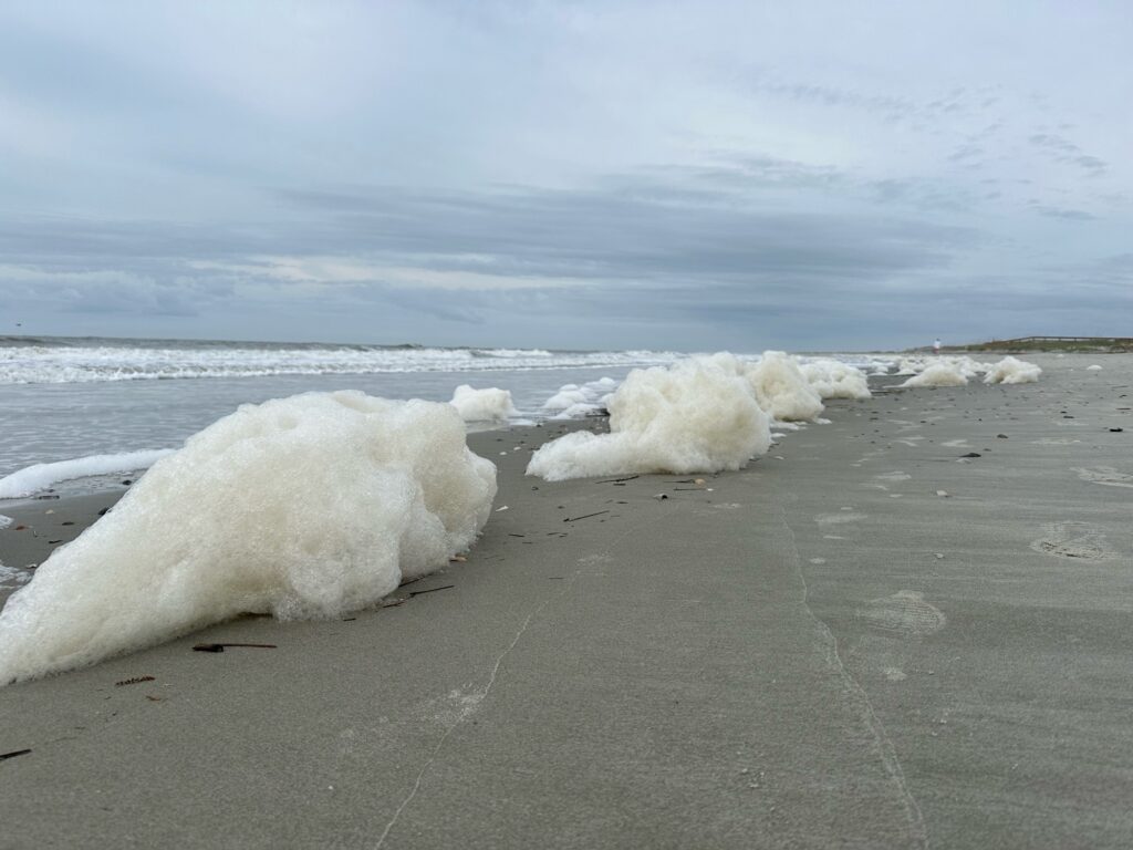 a beach with ice and snow (MyCoast AI)