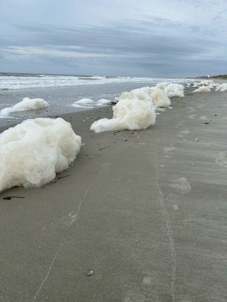 a beach with ice and snow (MyCoast AI)