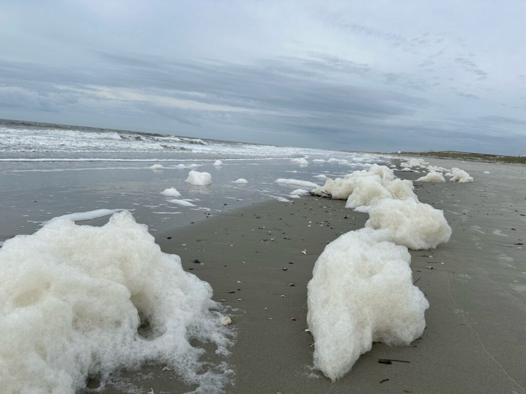 a beach with ice and snow (MyCoast AI)