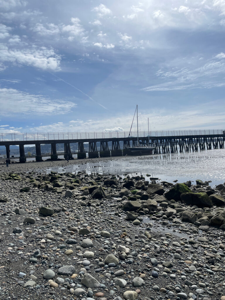 a bridge over a body of water (MyCoast AI)