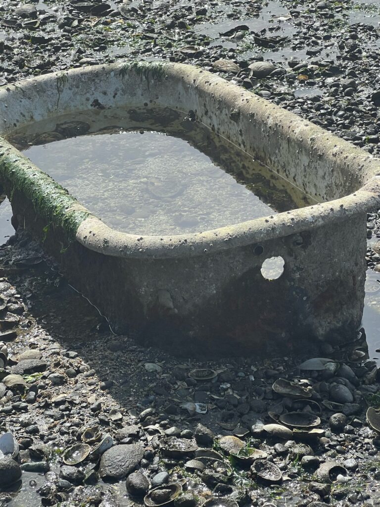 a circular structure on a rocky surface (MyCoast AI)