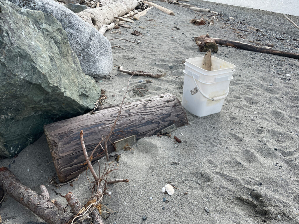 a bucket of water sits on the beach (MyCoast AI)