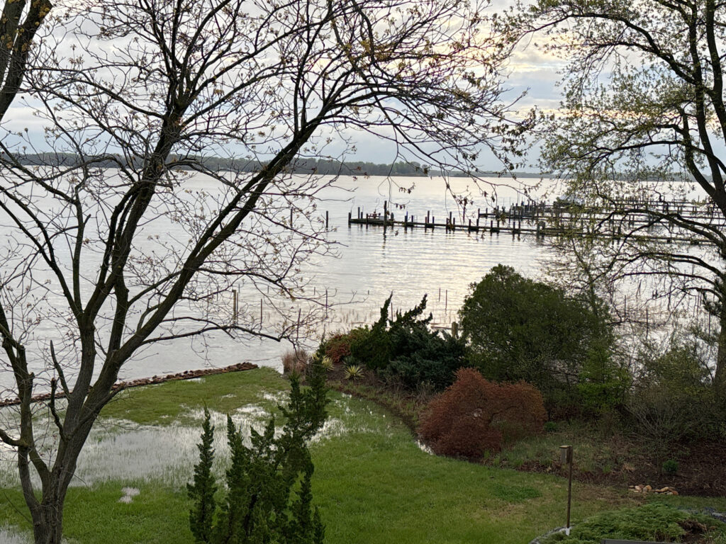 a body of water with trees and grass around it (MyCoast AI)
