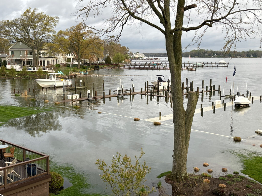a body of water with boats in it and a tree in the foreground (MyCoast AI)
