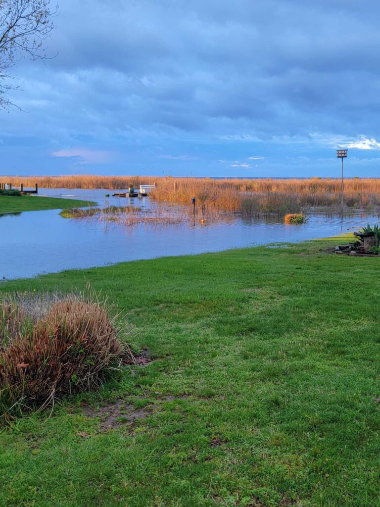 a body of water with grass and trees around it (MyCoast AI)