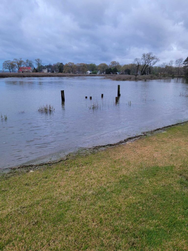 a body of water with grass and trees around it (MyCoast AI)