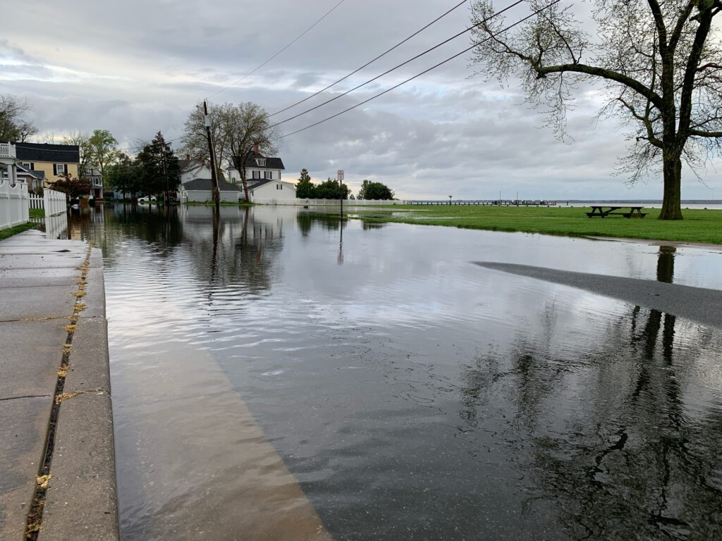 a flooded street with trees and houses (MyCoast AI)