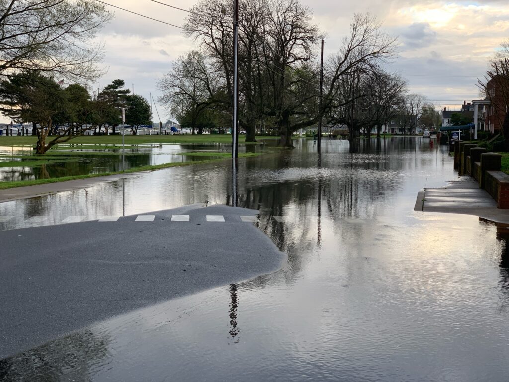 a flooded park with trees (MyCoast AI)