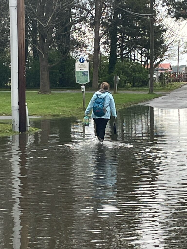 a person walking in a flooded street (MyCoast AI)