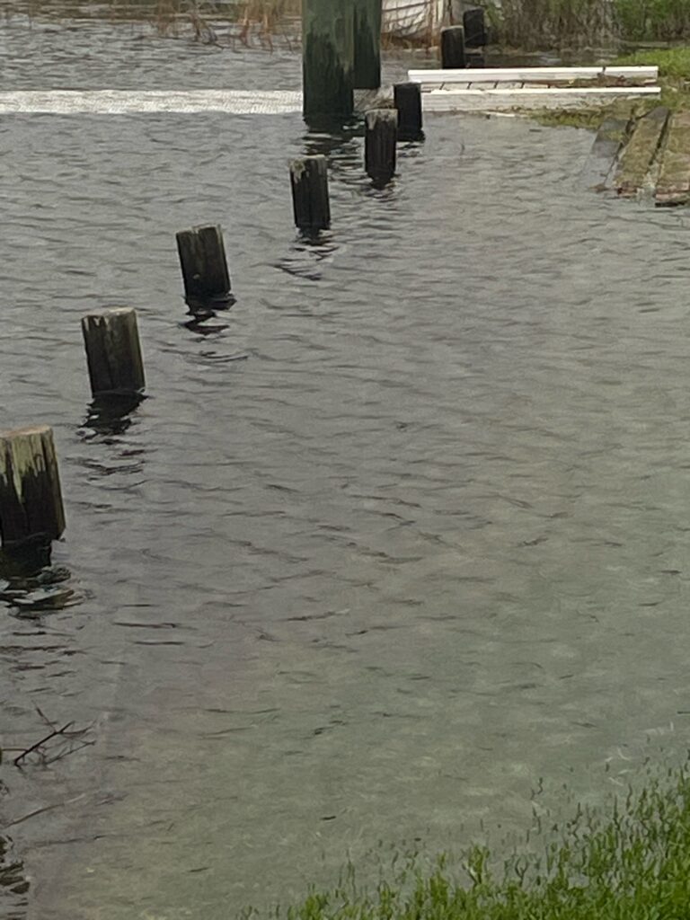 a flooded area with a few wooden posts (MyCoast AI)