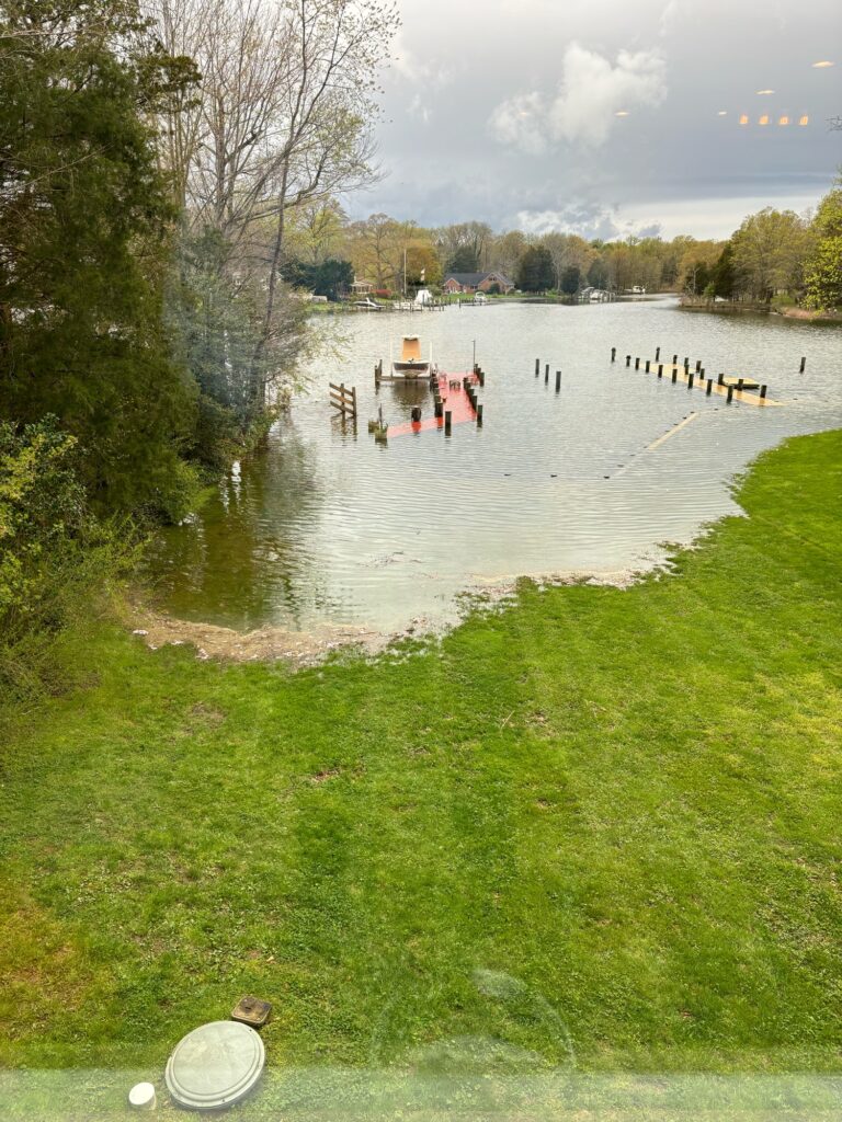 a body of water with grass and trees around it (MyCoast AI)