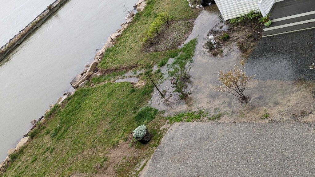 a small pond in a yard (MyCoast AI)