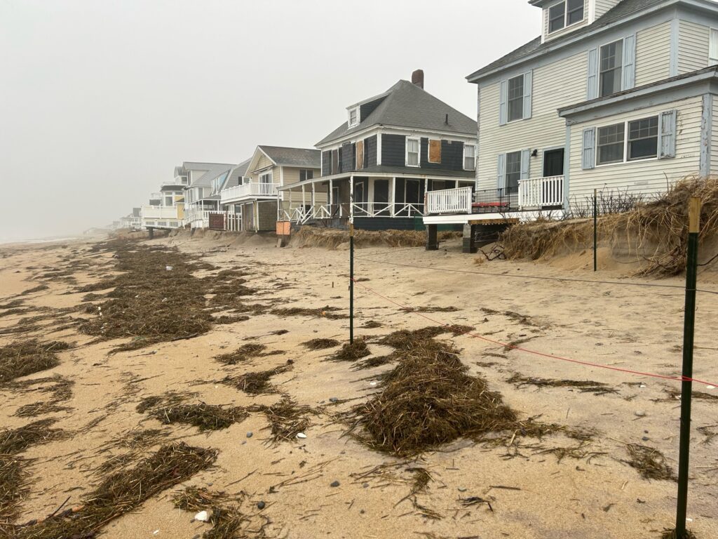 a sandy beach with houses in the background (MyCoast AI)