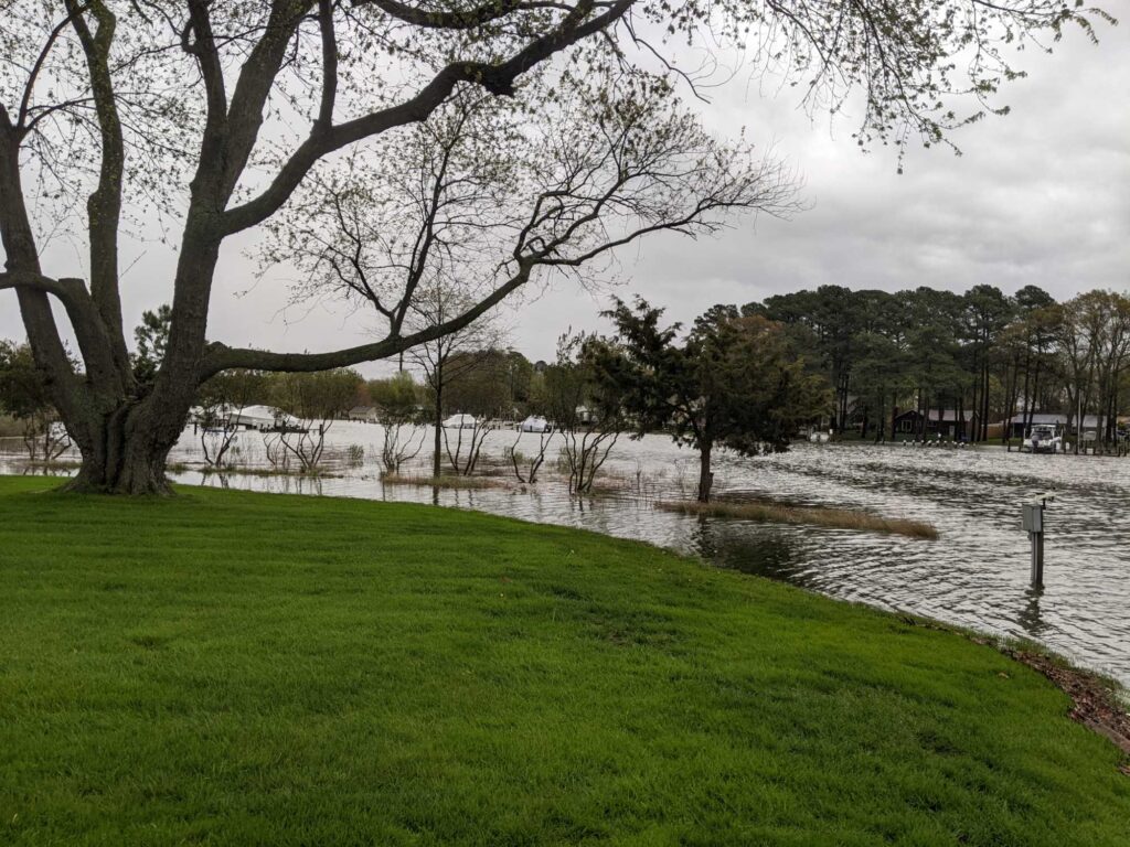 a pond with grass and trees around it (MyCoast AI)