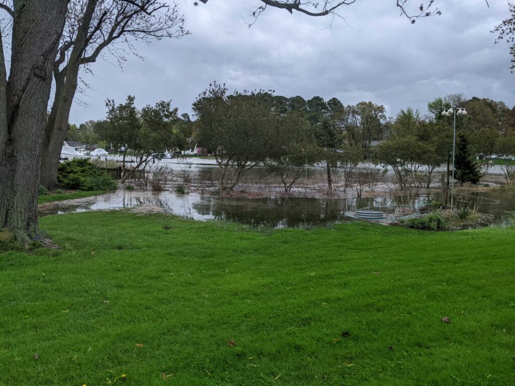 a pond with grass and trees around it (MyCoast AI)