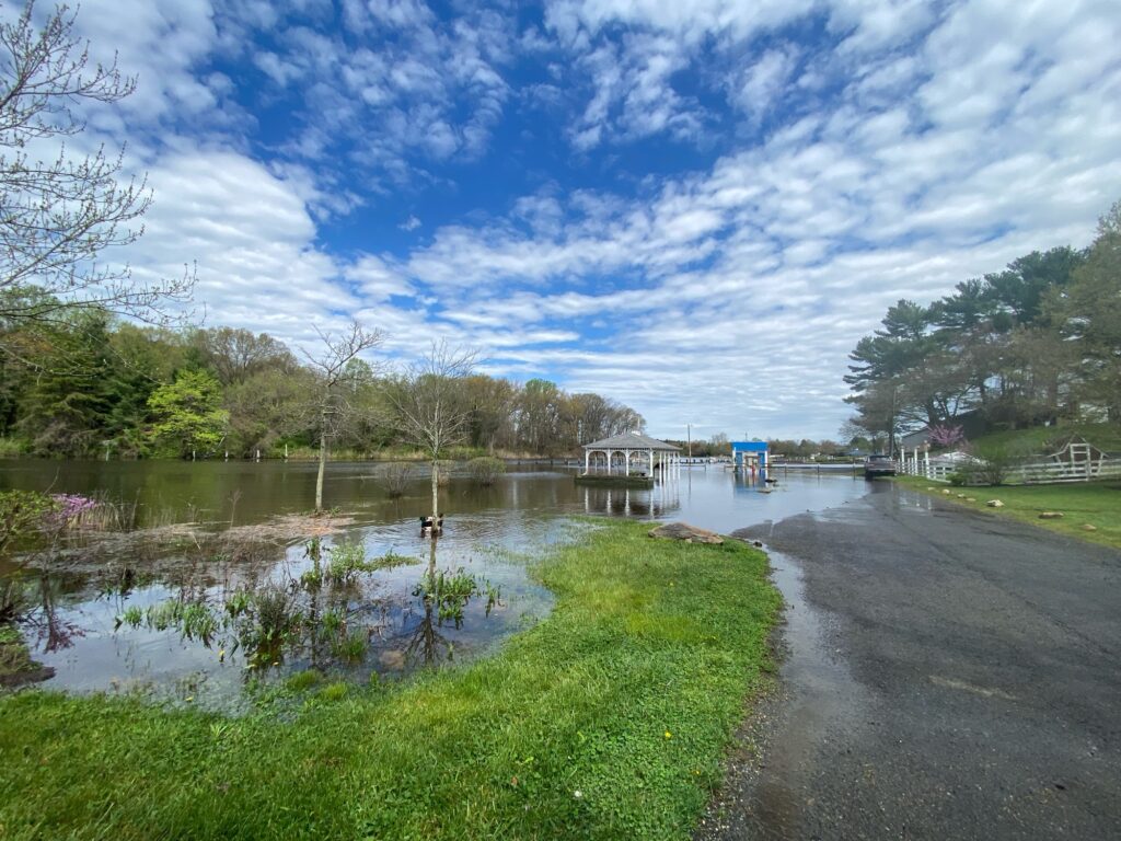 a road next to a body of water with grass and trees on the side (MyCoast AI)