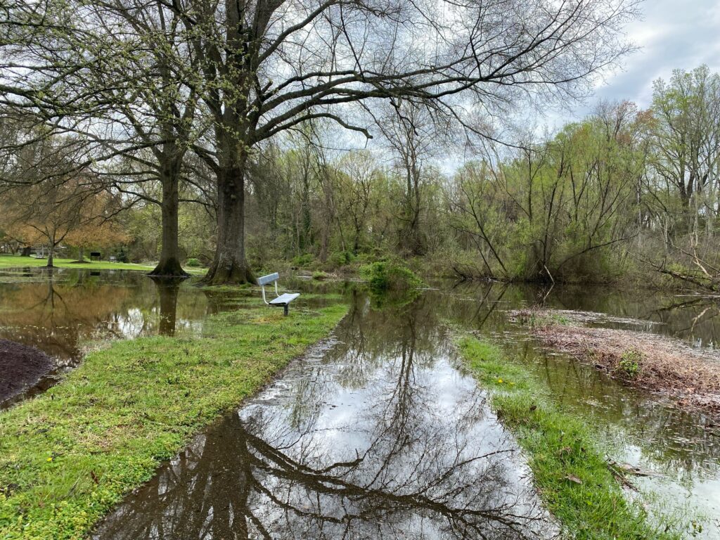 a small pond with benches and trees (MyCoast AI)