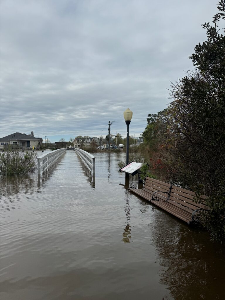 a flooded street with a bench (MyCoast AI)