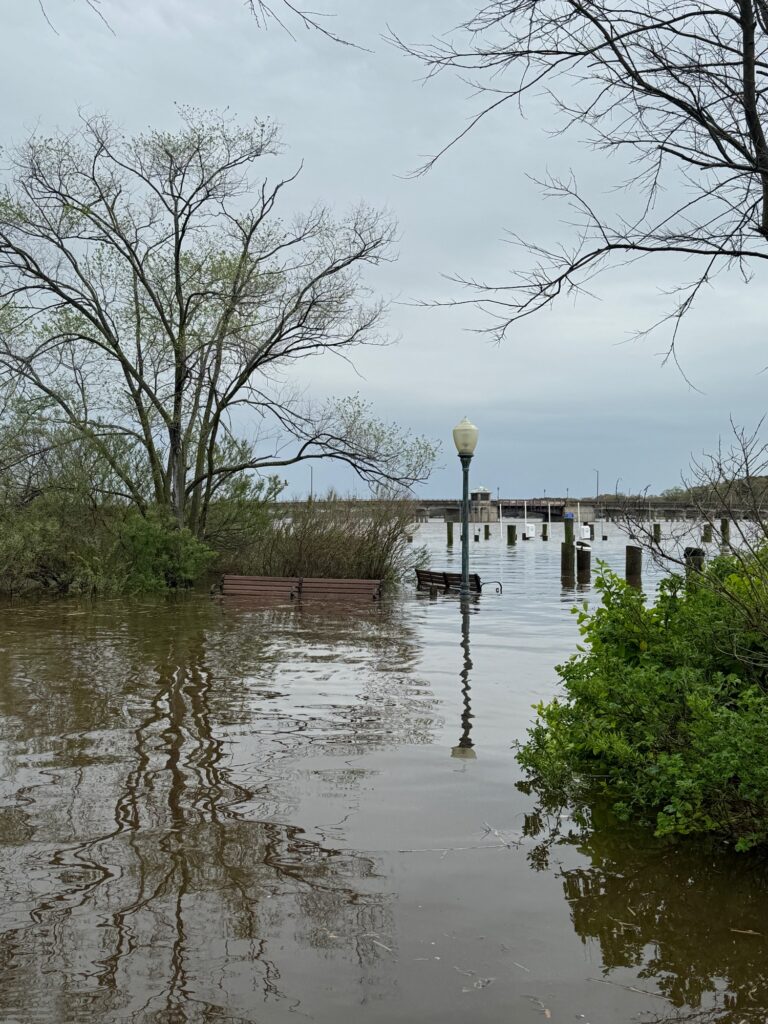 a flooded area with a bench and trees (MyCoast AI)