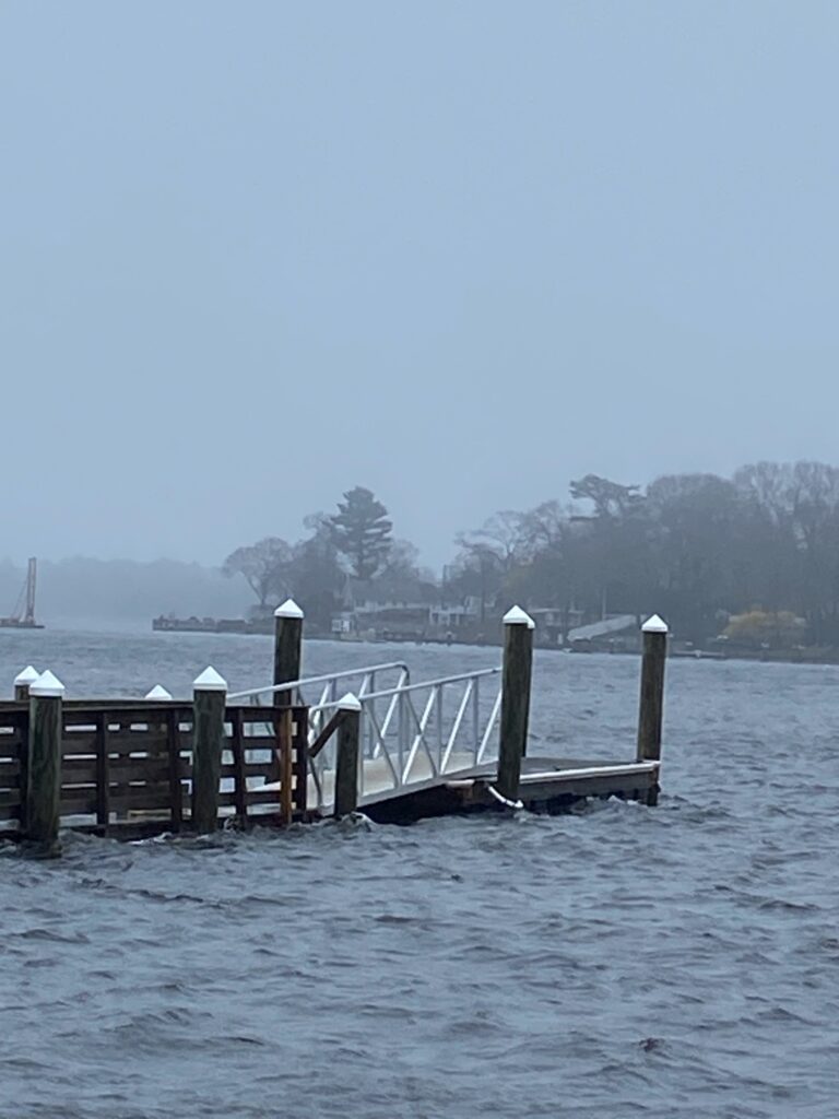 a dock in the water (MyCoast AI)