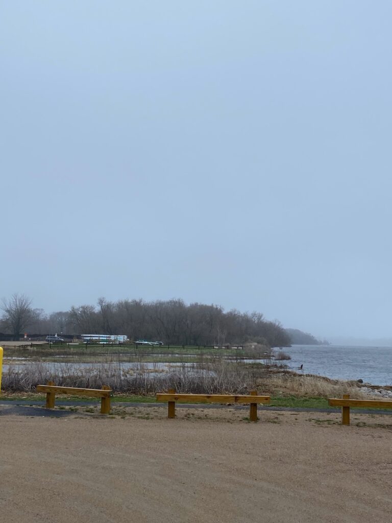 benches on a beach (MyCoast AI)