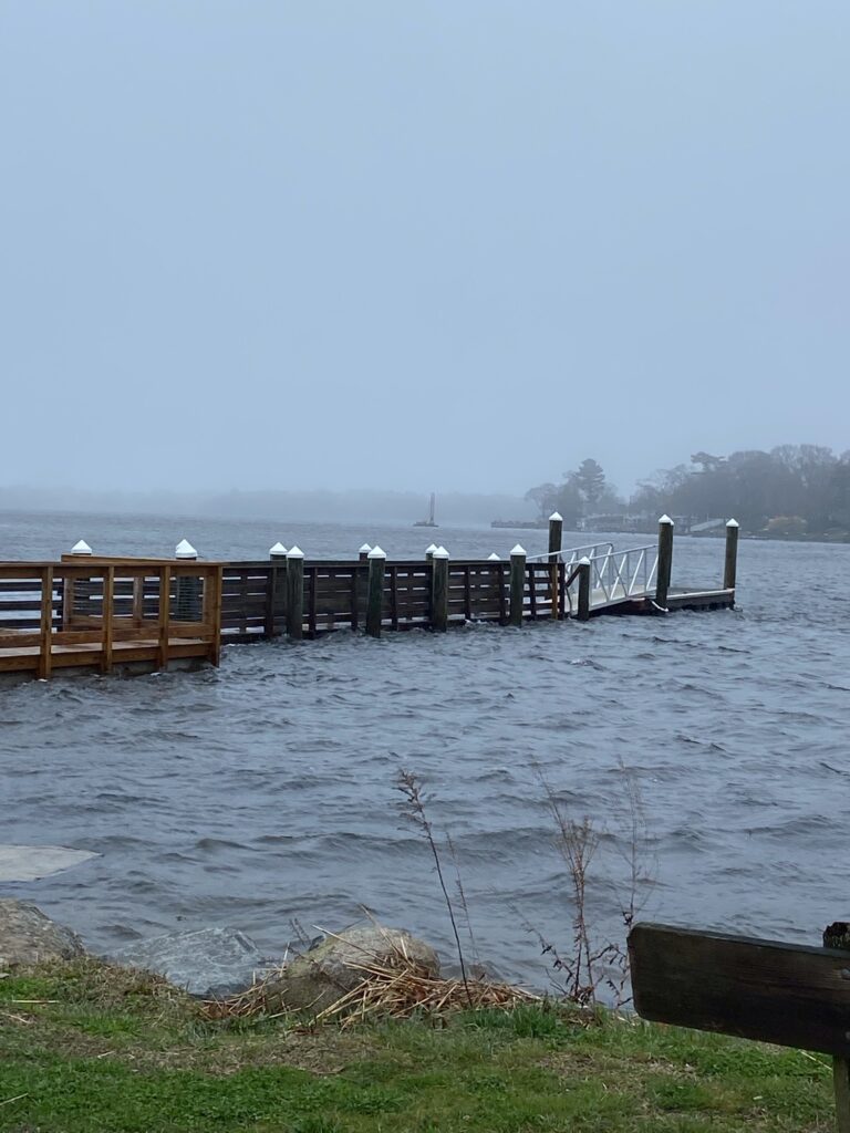 a dock in a body of water (MyCoast AI)