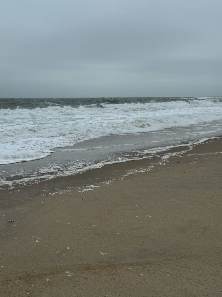 waves crashing on a beach (MyCoast AI)