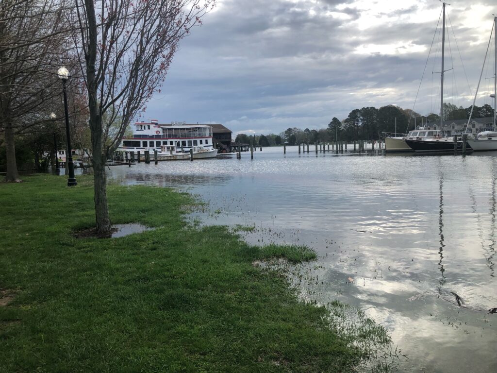 a body of water with boats in it and a building in the background (MyCoast AI)