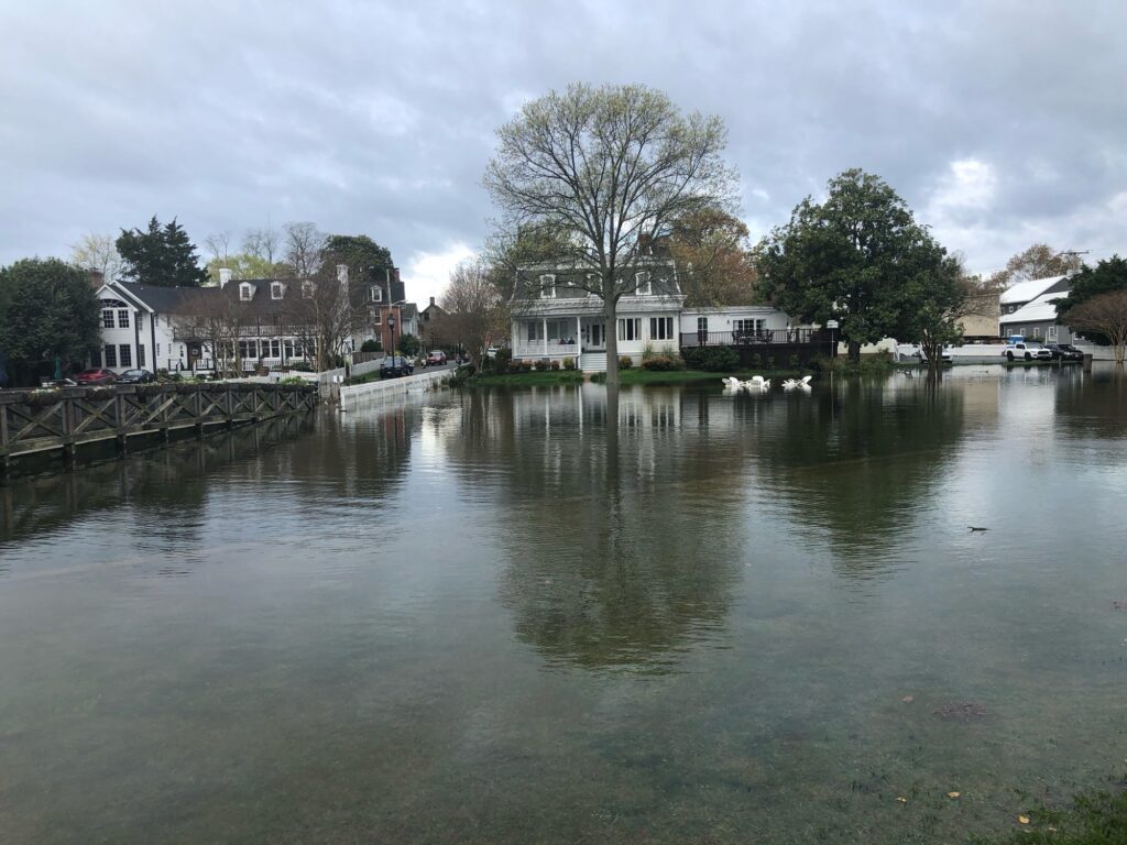 a body of water with buildings and trees around it (MyCoast AI)