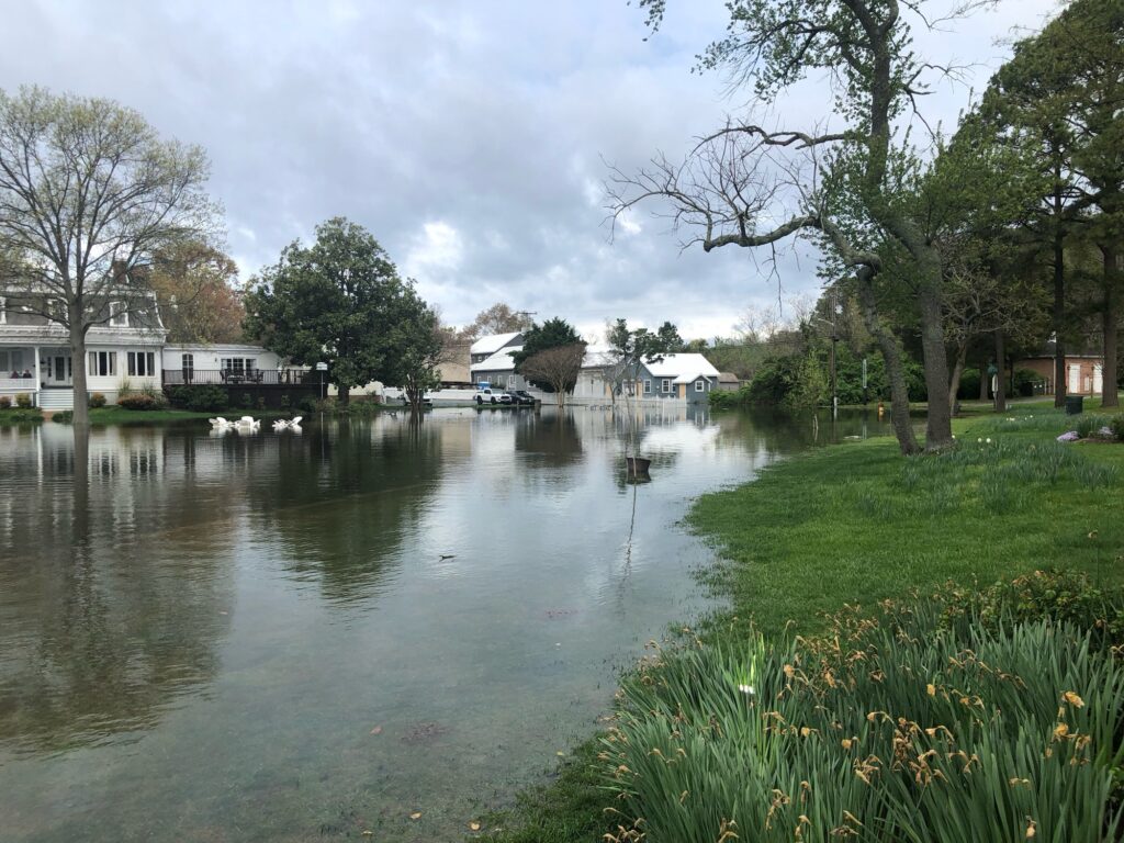 a body of water with grass and trees around it (MyCoast AI)