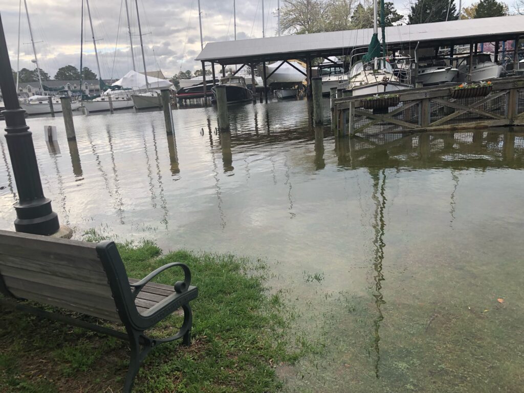 a bench sits in the middle of a flooded area (MyCoast AI)