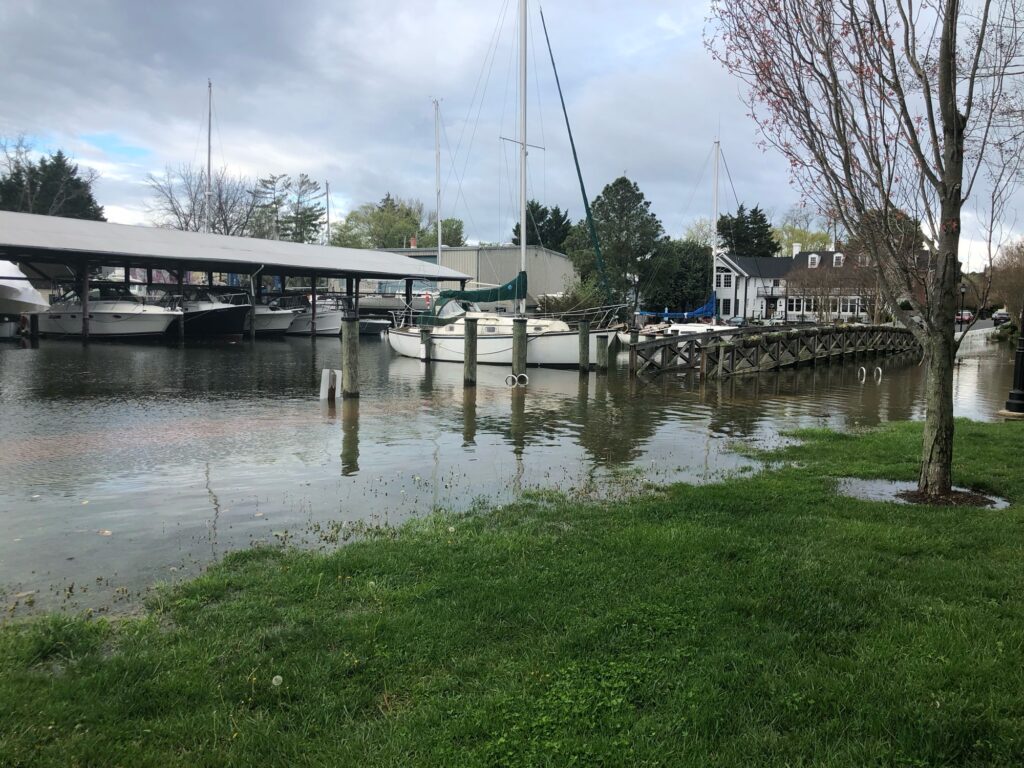 a boat docked at a pier (MyCoast AI)