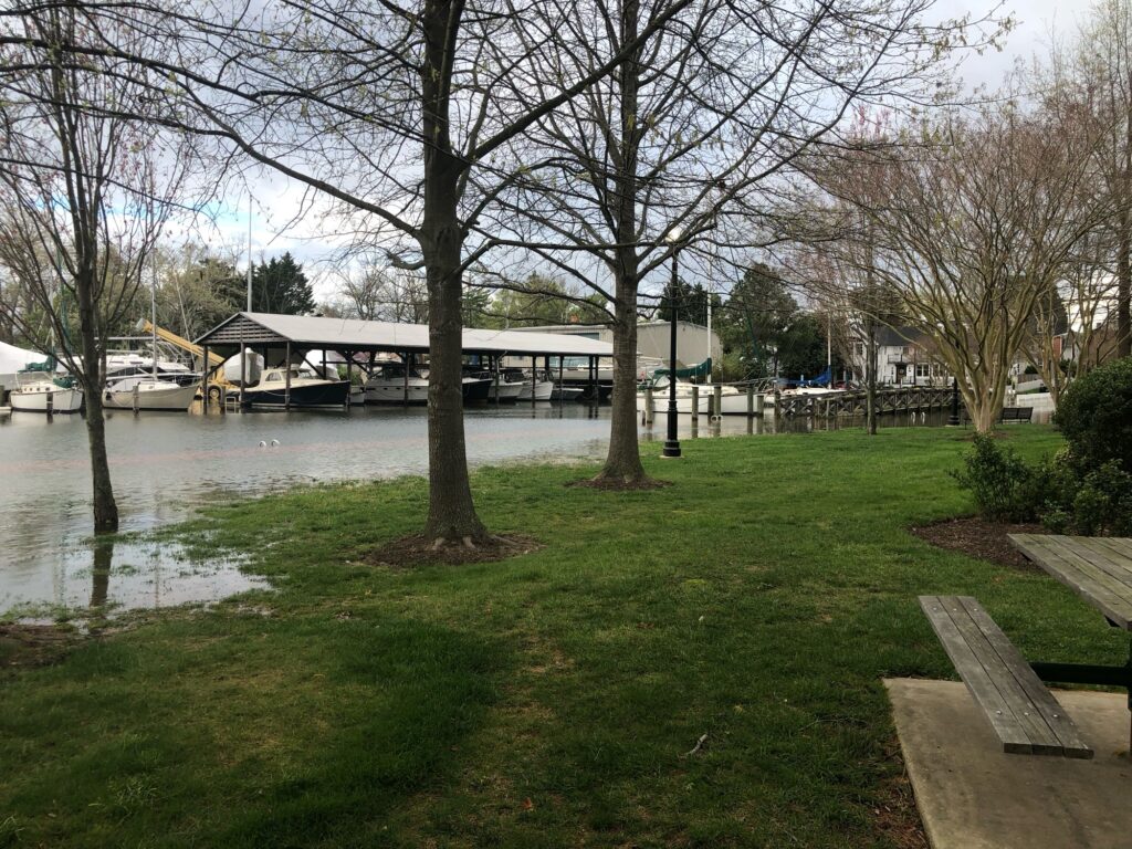 a body of water with grass and trees around it (MyCoast AI)