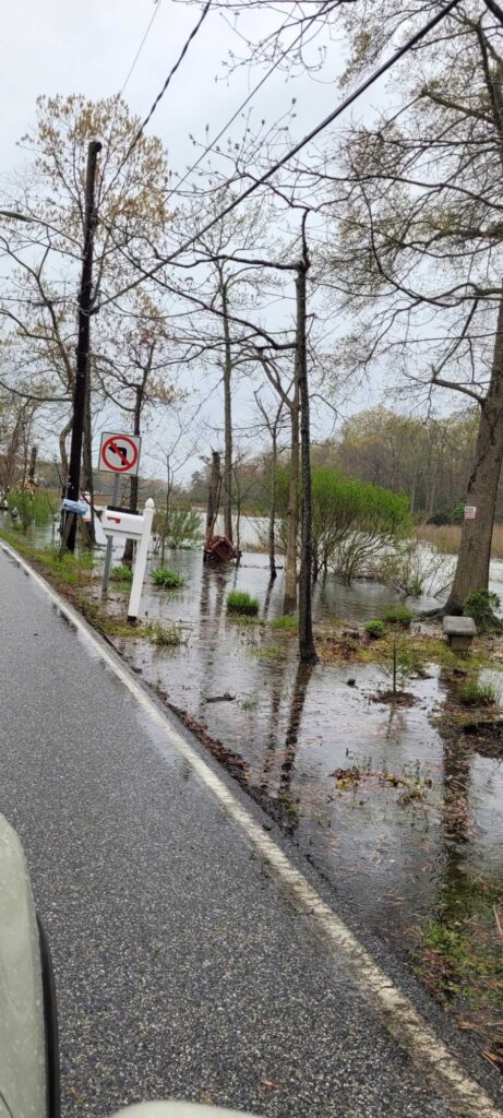 a flooded road with trees on either side of it (MyCoast AI)