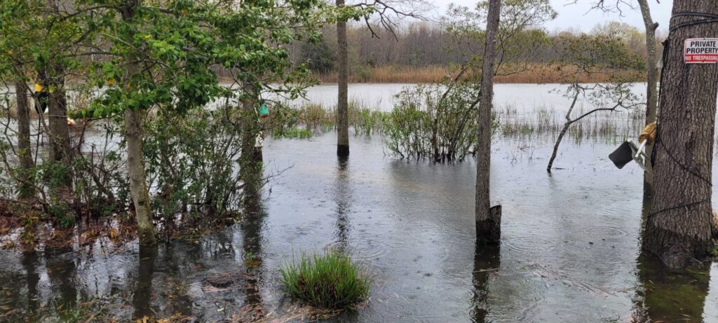 a flooded area with trees (MyCoast AI)