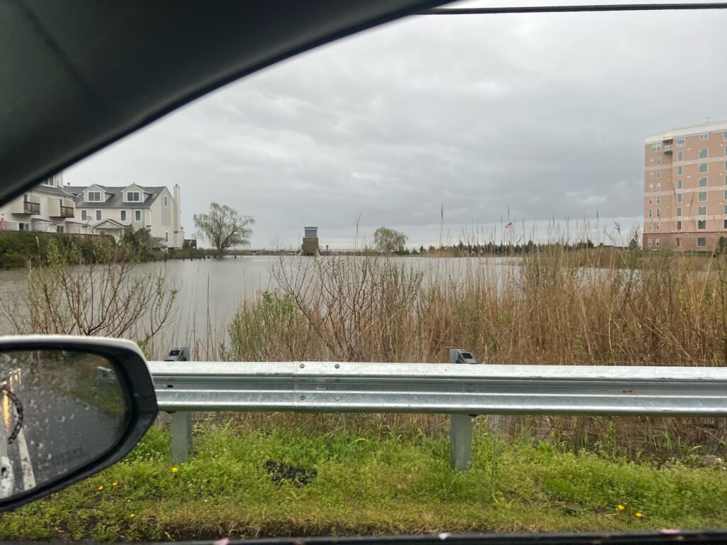 a view of a field and a road from a car window (MyCoast AI)