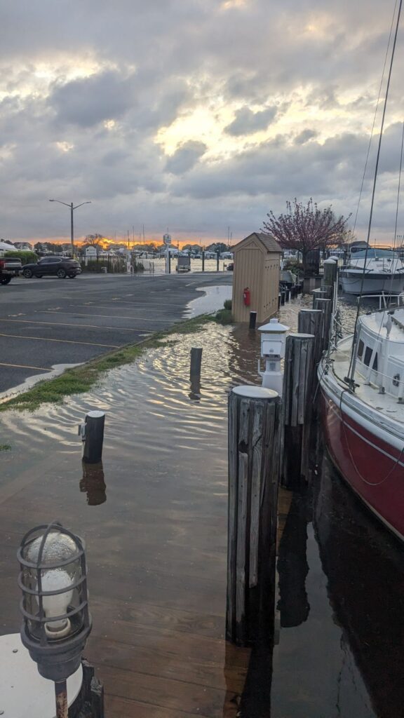 a boat docked at a pier (MyCoast AI)