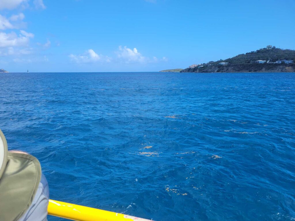 a body of water with land in the background (MyCoast AI)
